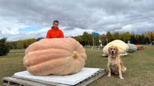 Giant Pumpkin Disqualified at Ontario Pumpkinfest