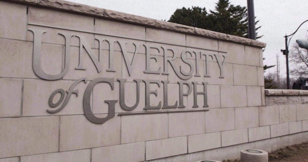 Help Guelph Police Identify Partygoers from Video Footage