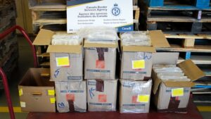 2 Mississauga men charged after 127 kg of cocaine seized at Ambassador Bridge