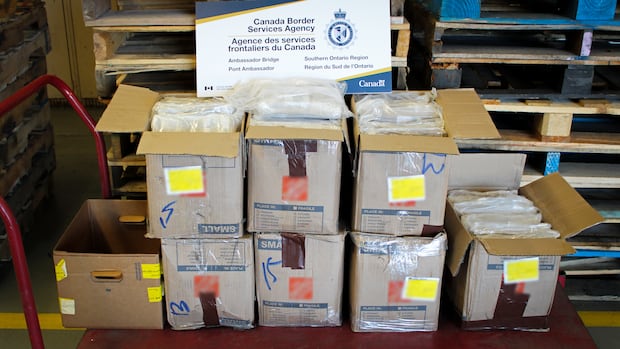 Two Men from Mississauga Arrested for Cocaine Smuggling Two Men from Mississauga Arrested for Cocaine Smuggling