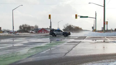 Tragic Crash Claims Life of 75-Year-Old Driver