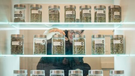Toronto’s Cannabis Store Debate Sparks Controversy After Nearby Cities Decline