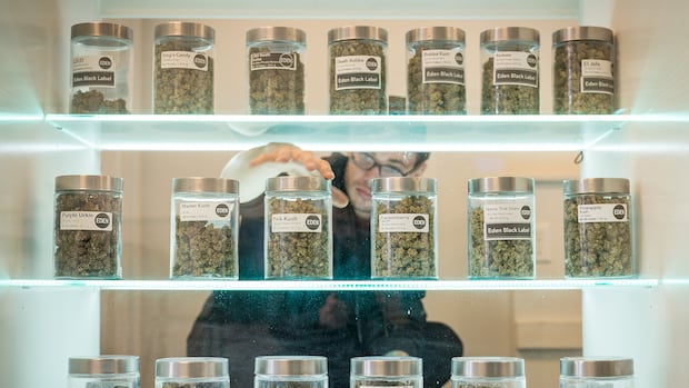 Toronto’s Cannabis Store Debate Sparks Controversy After Nearby Cities Decline Toronto’s Cannabis Store Debate Sparks Controversy After Nearby Cities Decline