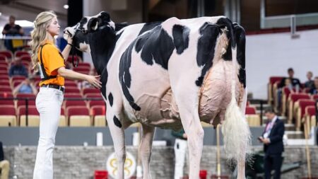 Canadian Teen Triumphs in Dairy Competition in the U.S.