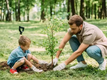 Free Tree Giveaway Happening This Week in Oshawa