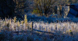 Weather Warning for Niagara Area