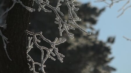 First Frost Warning for Southern Ontario