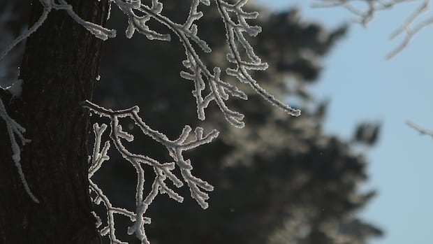 First Frost Warning for Southern Ontario First Frost Warning for Southern Ontario
