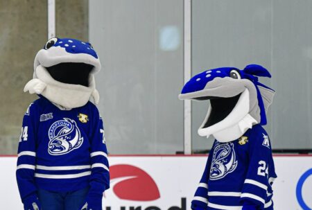Enjoy Free Hockey Tickets with Your Brampton Library Card