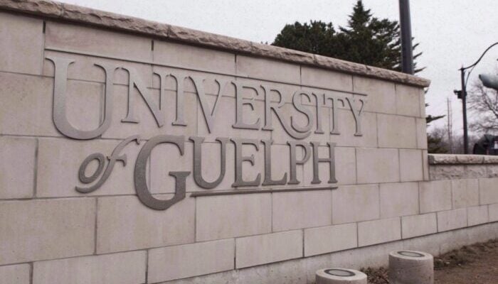 Help Guelph Police Identify Rowdy Partygoers Help Guelph Police Identify Rowdy Partygoers