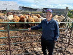 Kingston farm family says city councillor sent ‘inappropriate’ material about elderly father