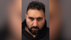 Man, 41, arrested in investigation of fatal hit and run in Vaughan: York police Man, 41, arrested in investigation of fatal hit and run in Vaughan: York police