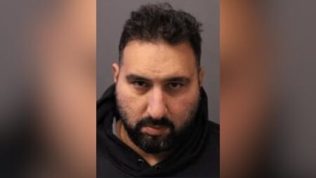 Man, 41, arrested in investigation of fatal hit and run in Vaughan: York police Man, 41, arrested in investigation of fatal hit and run in Vaughan: York police