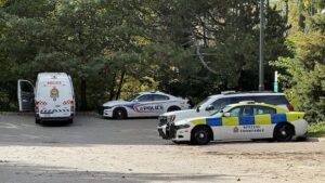 Police Detain London Man for Threatening with Guns Police Detain London Man for Threatening with Guns