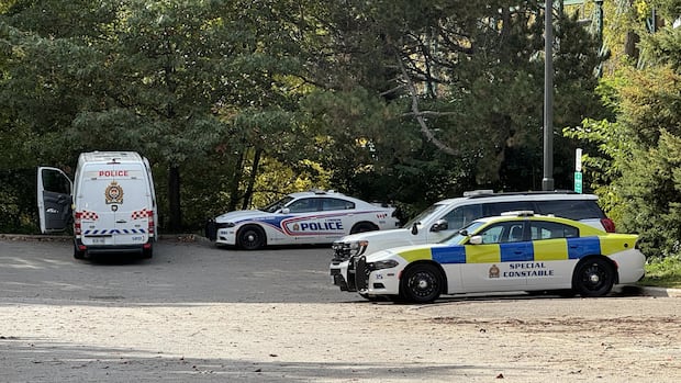 Police Detain London Man for Threatening with Guns Police Detain London Man for Threatening with Guns