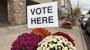 Niagara Residents Go to Polls for Local Elections