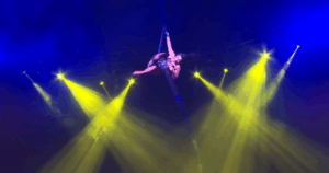 Unique Circus Experience Comes to Kingston