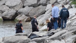 Body Found in Lake Ontario Identified as Burlington Man