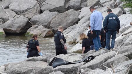 Body Found in Lake Ontario Identified as Burlington Man