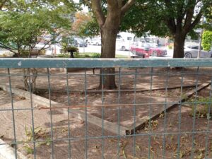 Parkette in Port Elgin Closes After Encampment Removal