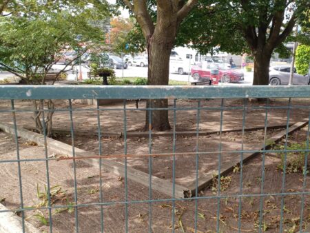 Parkette in Port Elgin Closes After Encampment Removal Parkette in Port Elgin Closes After Encampment Removal