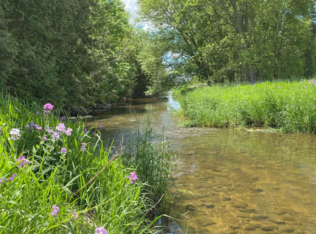 Community Invited to Share Thoughts on Goderich Project