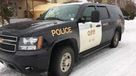 88-Year-Old Agnes Lepine Passes Away After Fire
