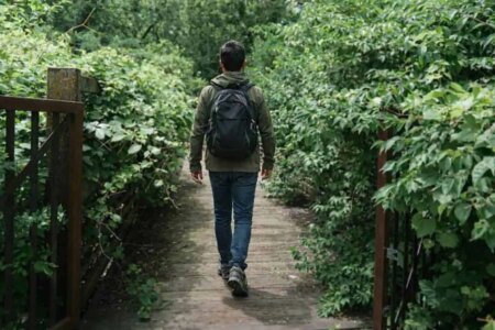 Concerns Over Pathways Prompt Action in Brampton