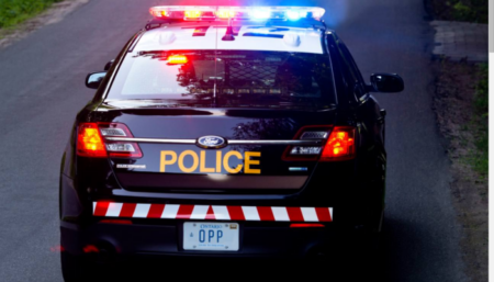 Man in St. Catharines Charged for Throwing Rocks at Cars
