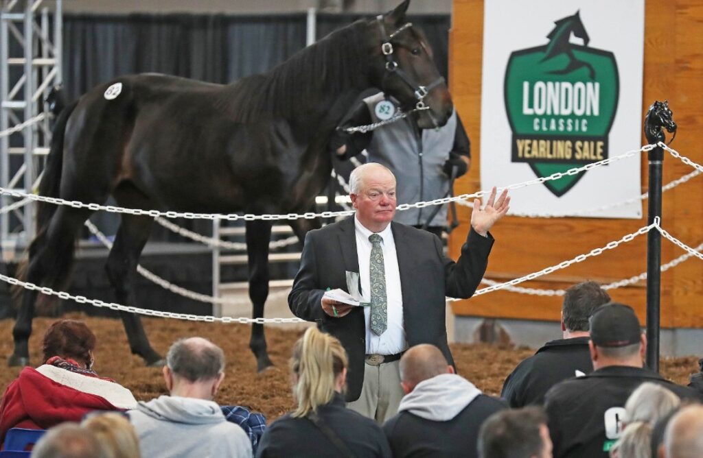 Ontario Yearlings Shine at Upcoming London Sale Ontario Yearlings Shine at Upcoming London Sale