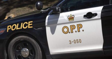 Fatal Crash Claims Three Lives Near Windsor