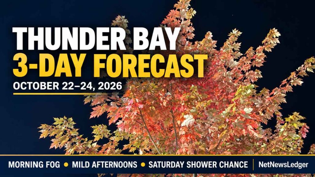 Foggy Mornings and Mild Days Ahead for Thunder Bay Foggy Mornings and Mild Days Ahead for Thunder Bay