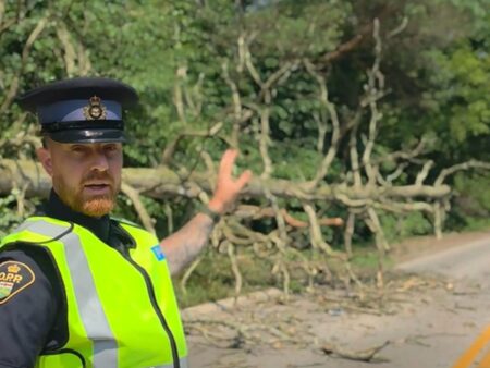 Driver Injured After Tree Hits Car Driver Injured After Tree Hits Car
