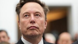 Trolling or part of a larger plan?: Why Elon Musk waded into the separatism debate Trolling or part of a larger plan?: Why Elon Musk waded into the separatism debate