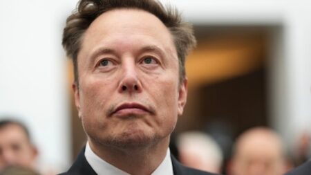 Trolling or part of a larger plan?: Why Elon Musk waded into the separatism debate Trolling or part of a larger plan?: Why Elon Musk waded into the separatism debate