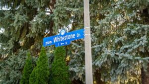 Missing Trump Avenue Sign Before Name Change Missing Trump Avenue Sign Before Name Change