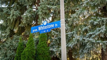 Missing Trump Avenue Sign Before Name Change Missing Trump Avenue Sign Before Name Change