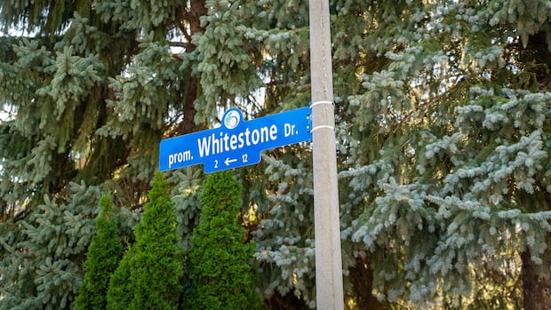 Missing Trump Avenue Sign Before Name Change Missing Trump Avenue Sign Before Name Change