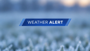 Frost Advisory for Toronto, Mississauga, and Brampton