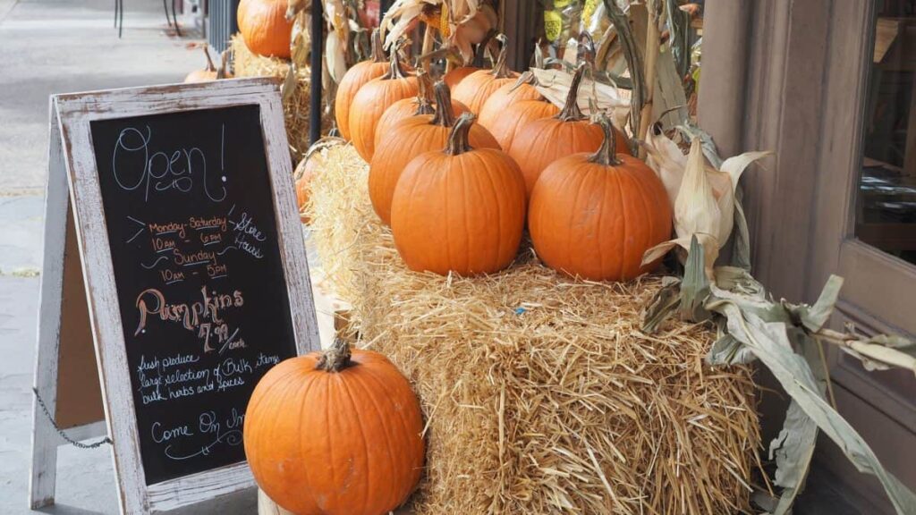 Thanksgiving Hours in Niagara Falls and Surrounding Areas