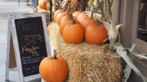 Thanksgiving Hours in Niagara Falls and Surrounding Areas
