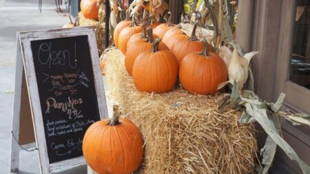 Thanksgiving Hours in Niagara Falls and Surrounding Areas
