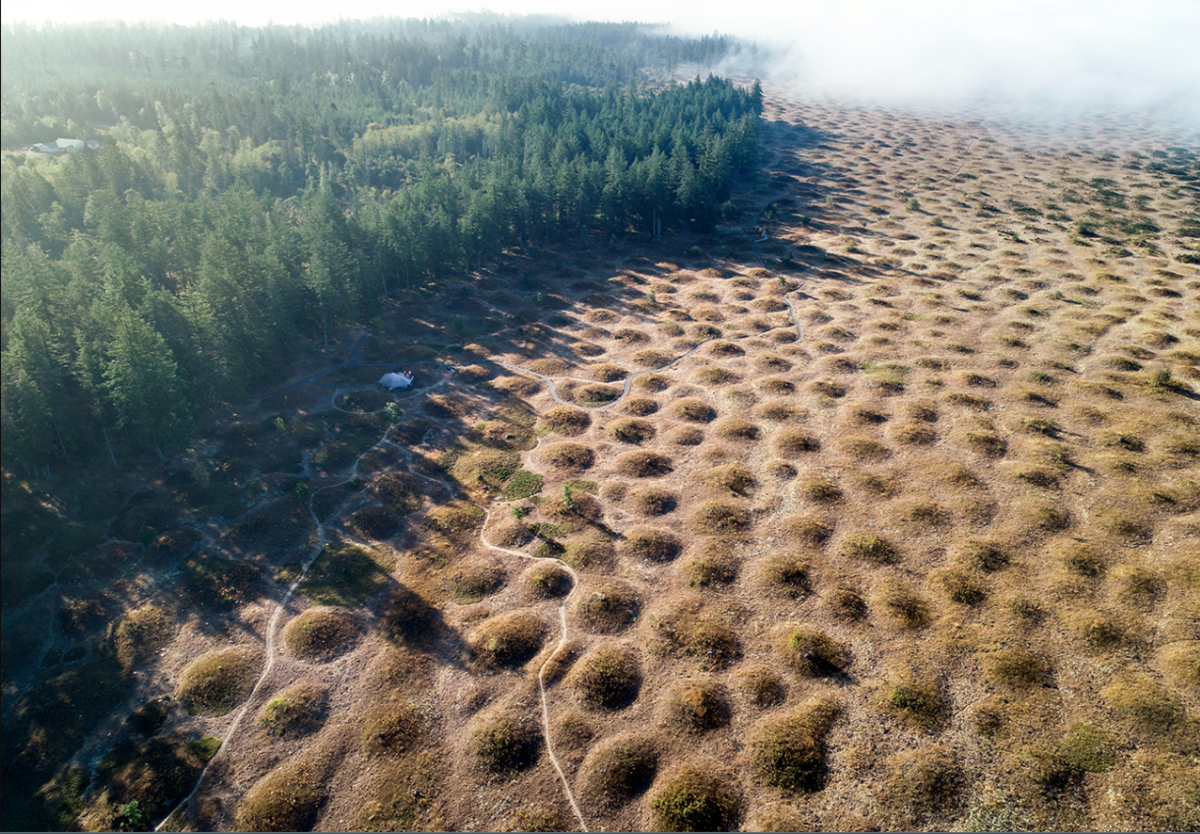Mima Mounds are one of Washington&rsquo;s enduring geologic mysteries.